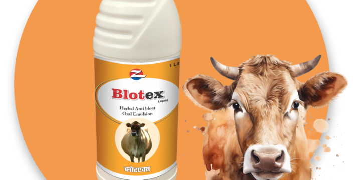 Blotex Liquid
